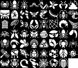 Insect & Spider icons montage